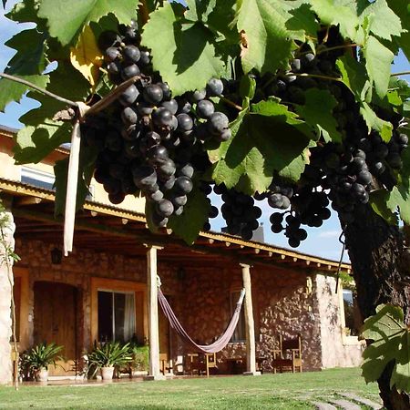 Finca Adalgisa Chacras de Coria Eksteriør billede