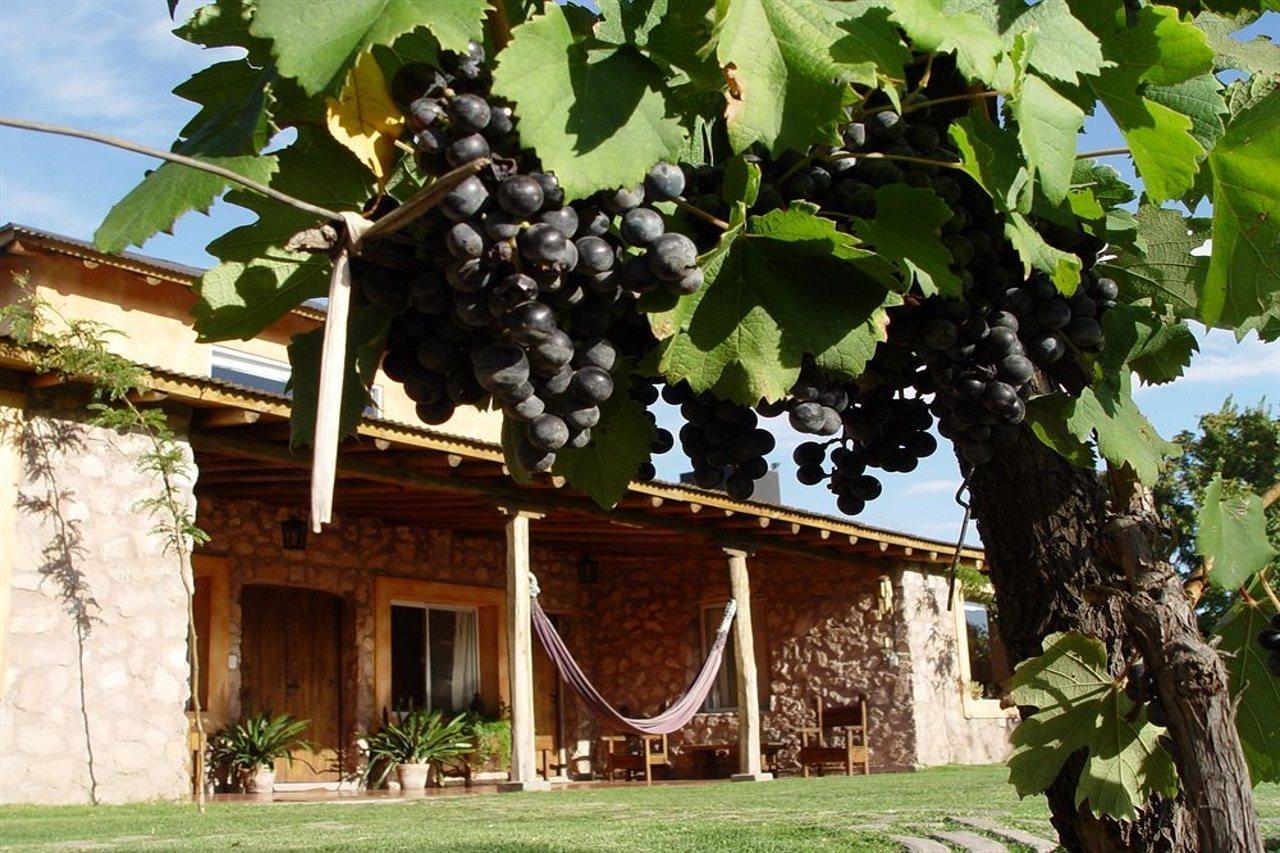 Finca Adalgisa Chacras de Coria Eksteriør billede